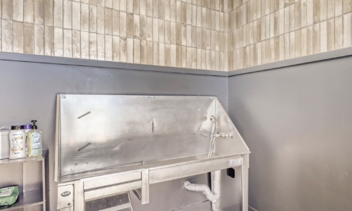 a pet spa with equipment